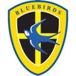 Cardiff City Crest