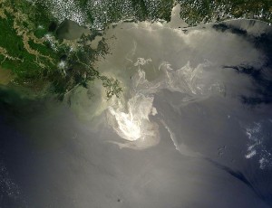 Oil