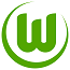 German Bundesliga Transfers (Summer 2011)