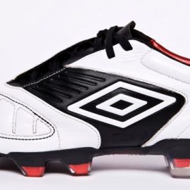 umbro-geometra