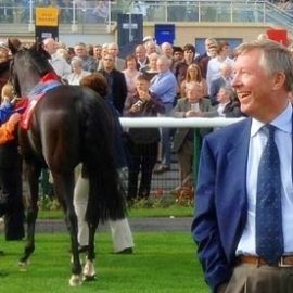 horse-fergie