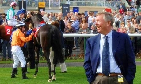 horse-fergie