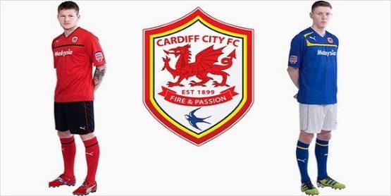 cardiff_rebrand_combo624