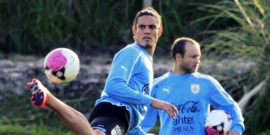 cavani
