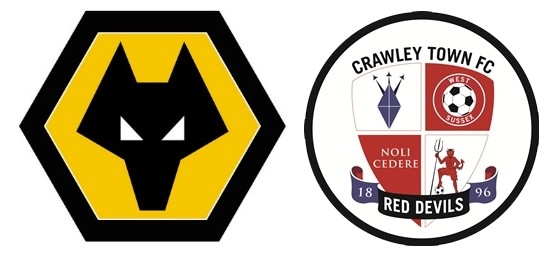 Wolves v Crawley Preview