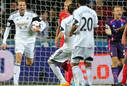swans (1)