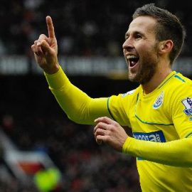 Yohan Cabaye