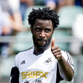 Swansea-Wilfried-Bony_2972610