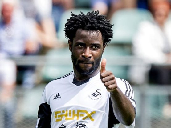 Swansea-Wilfried-Bony_2972610
