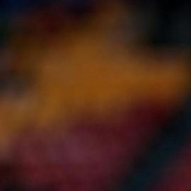 louis-van-gaal_1