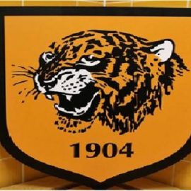 Hull New logo