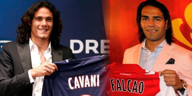 cavanifalcao_original_crop_north
