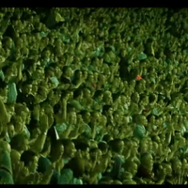 football-fans-stadium