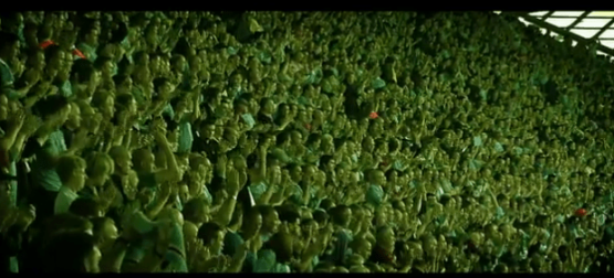 football-fans-stadium