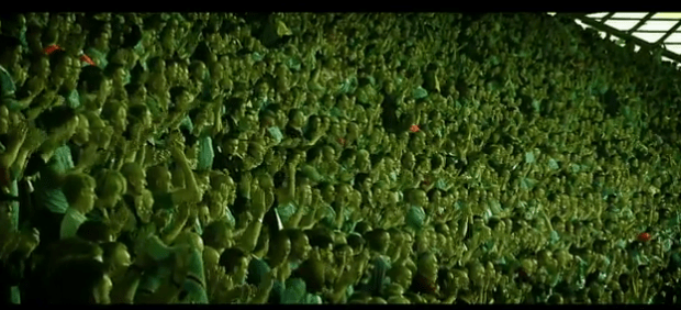 football-fans-stadium