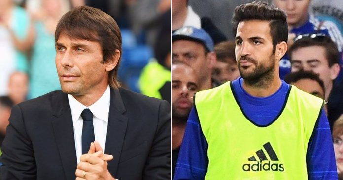 conte-fabregas