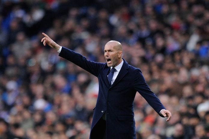 Zidane-img_0057