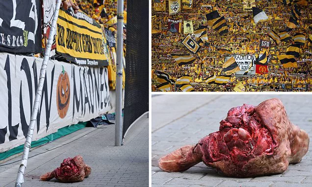 Dyanamodresdenpigshead_0933