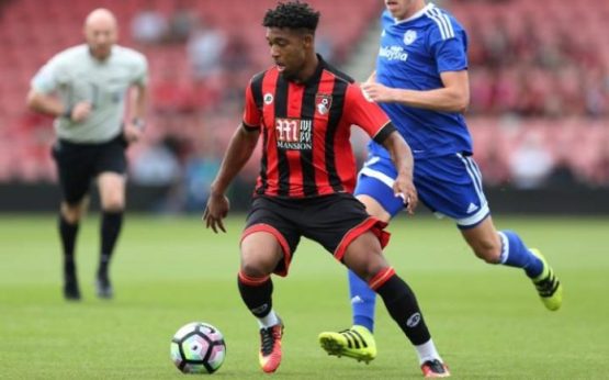 ibe