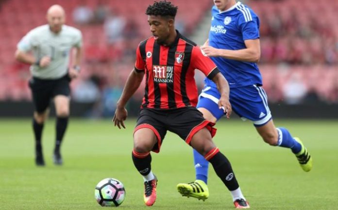 ibe