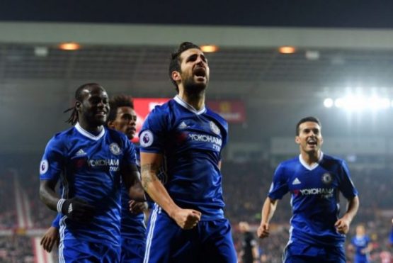 fabregas-1