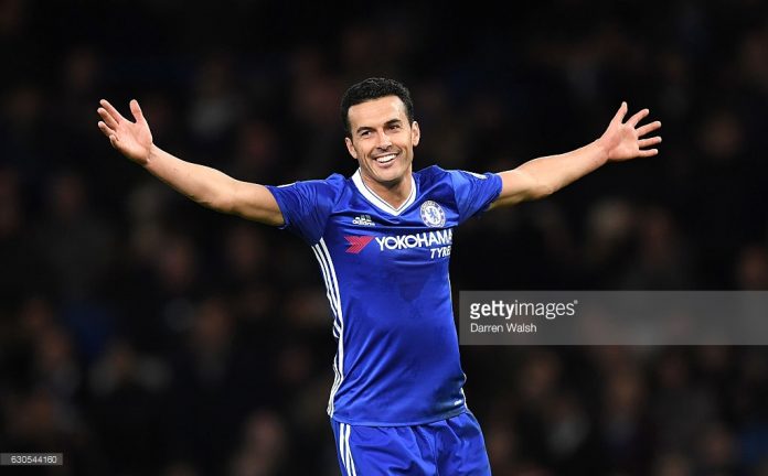 Pedro