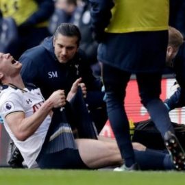 vertonghen