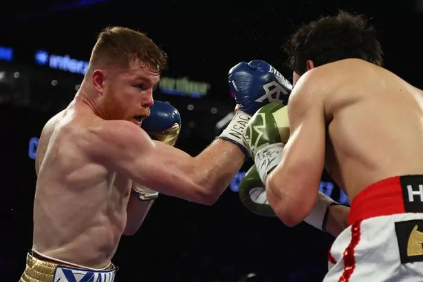 Gennady Golovkin up next for Saul ‘Canelo’ Alvarez after he crushes Julio Cesar Chavez Jnr in Battle of Mexico