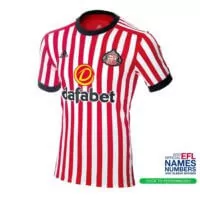 Sunderland Roundup: Simon Grayson eyeing promotion with the Black Cats