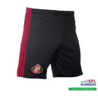 Sunderland Roundup: Simon Grayson eyeing promotion with the Black Cats