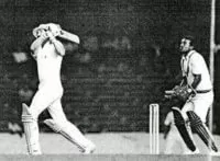 Cricket under the lights at Stamford Bridge