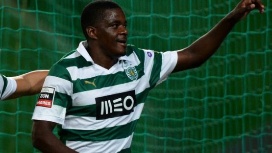 Carvalho