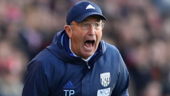 Pulis