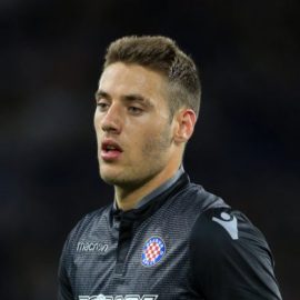 Vlasic