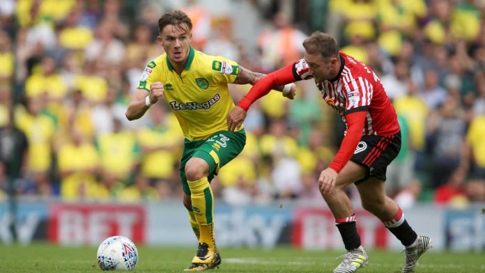 James Maddison