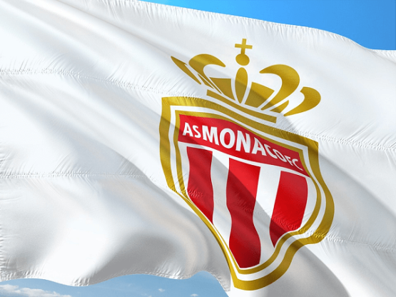 monaco badge crop