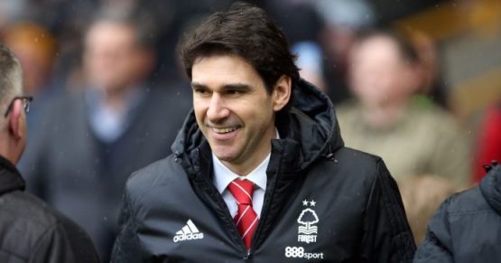 Nottingham-Forest-boss-Aitor-Karanka-against-Wolves
