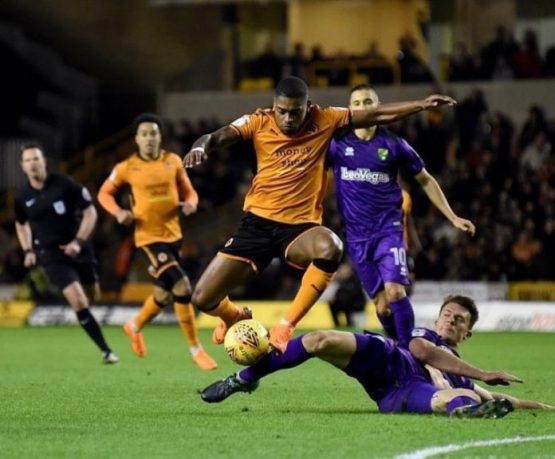 Wolves Cavaleiro