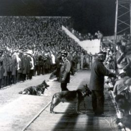 public-amb4-crowd-jpg