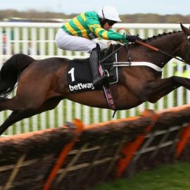 cheltenham
