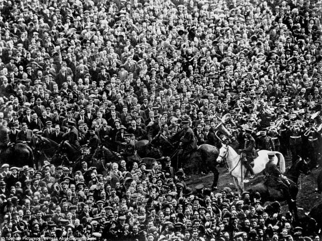 Whitehorsefinal