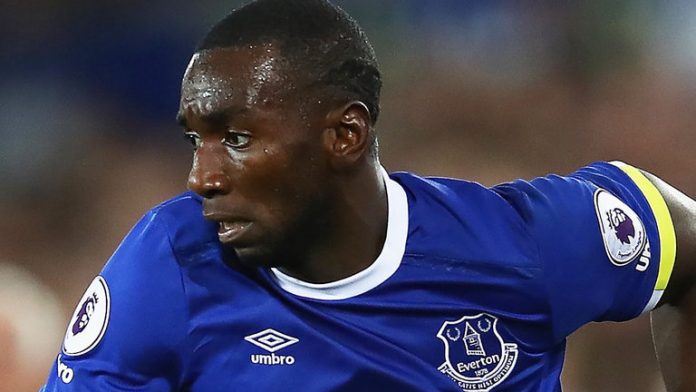 skysports-yannick-bolasie-everton-premier-league-football_3956001