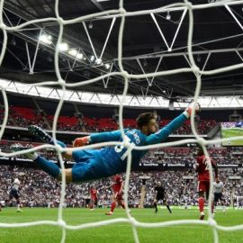 Fabri Fulham