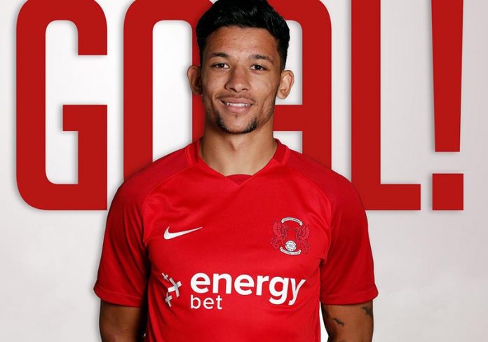 Macauley-Bonne-Zim
