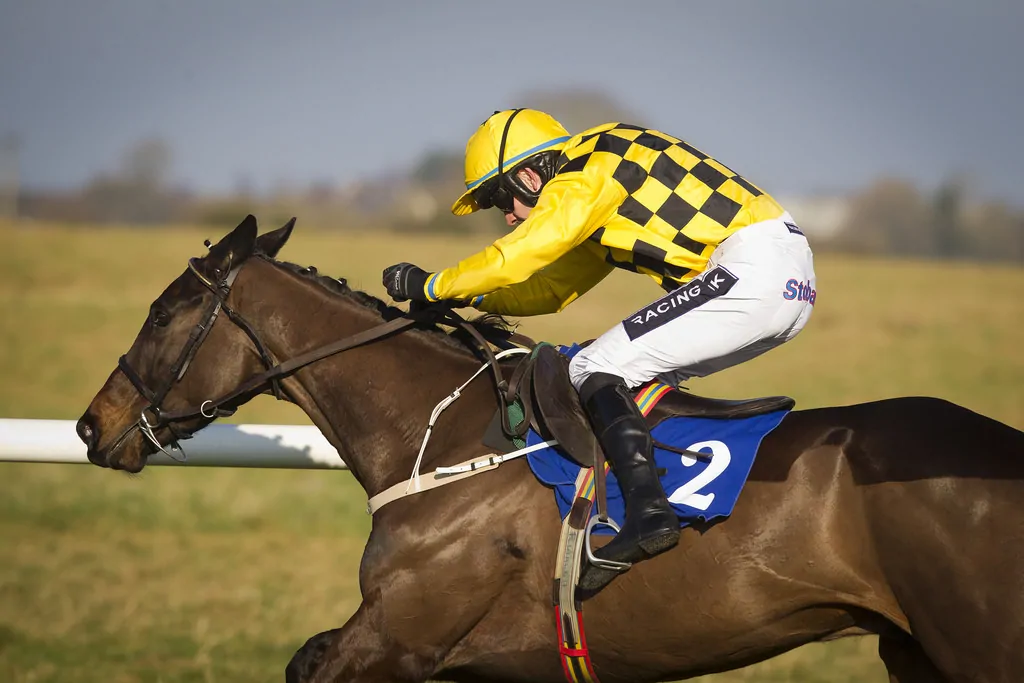 Fragility and Formidable Form Will Make for Intriguing Cheltenham Gold Cup