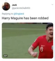 Fans react to Harry Kane scooping England's player of the year award