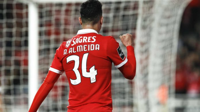andre-almeida-festejo-2-new