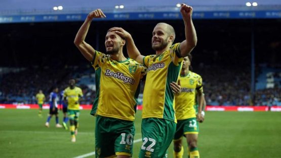 Pukki