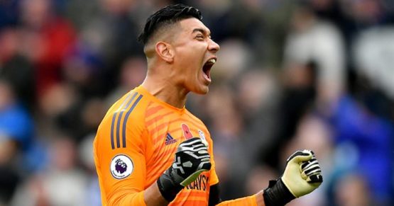 Cardiff City v Brighton & Hove Albion - Premier League