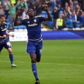 Sammy Ameobi